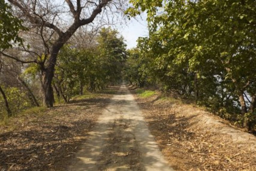 Harike Wetland_amritsar